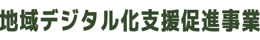 地域デジタル化支援促進事業